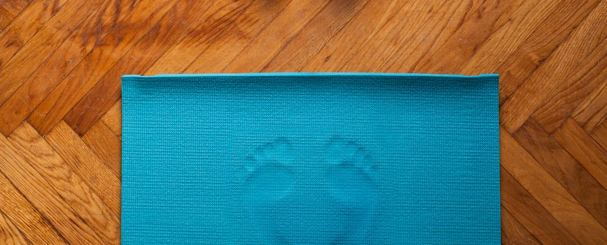 Tips to Strengthen Your Home Yoga Practice